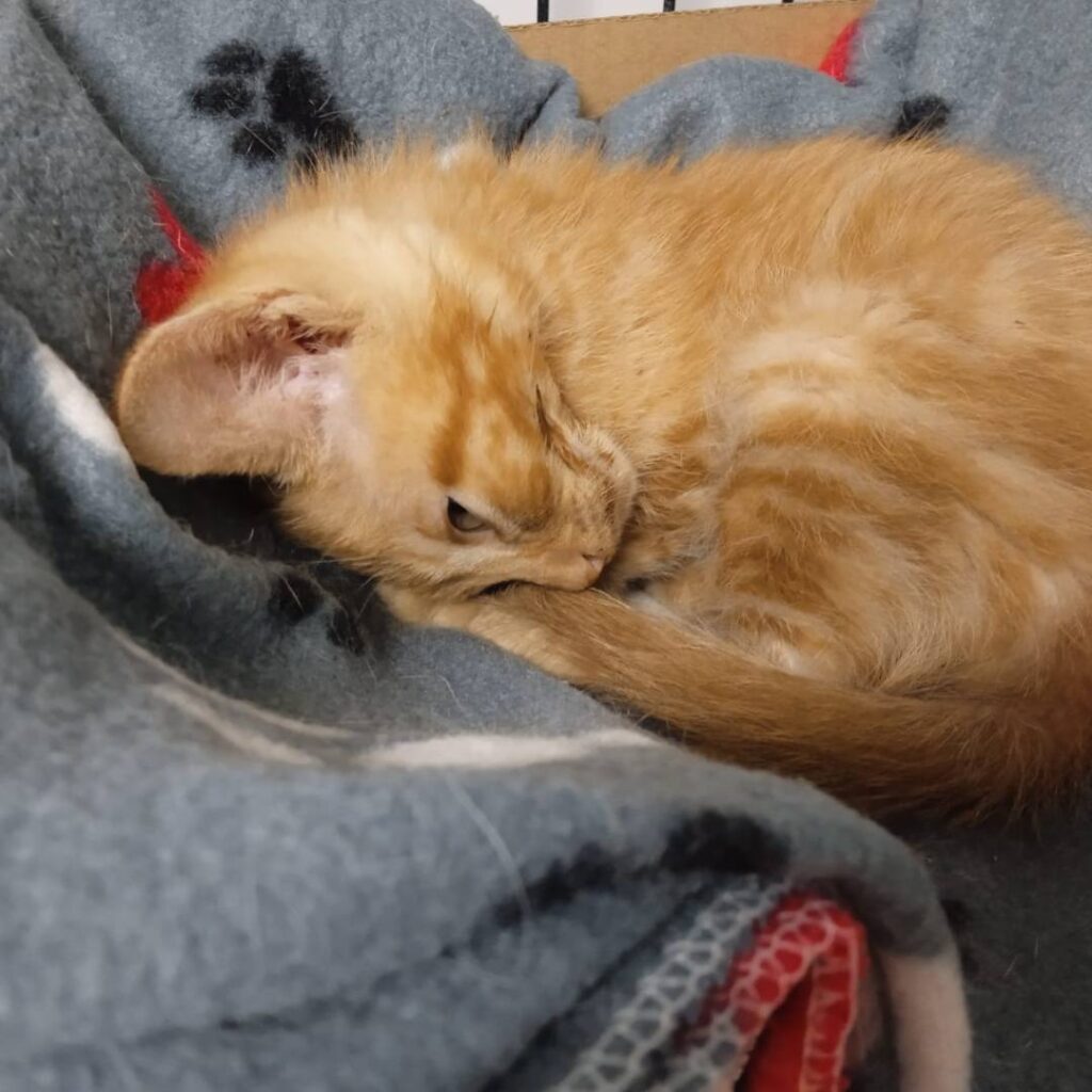 Casos de éxito | Leo