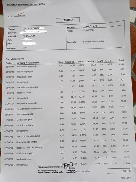 cuenta fiel | factura