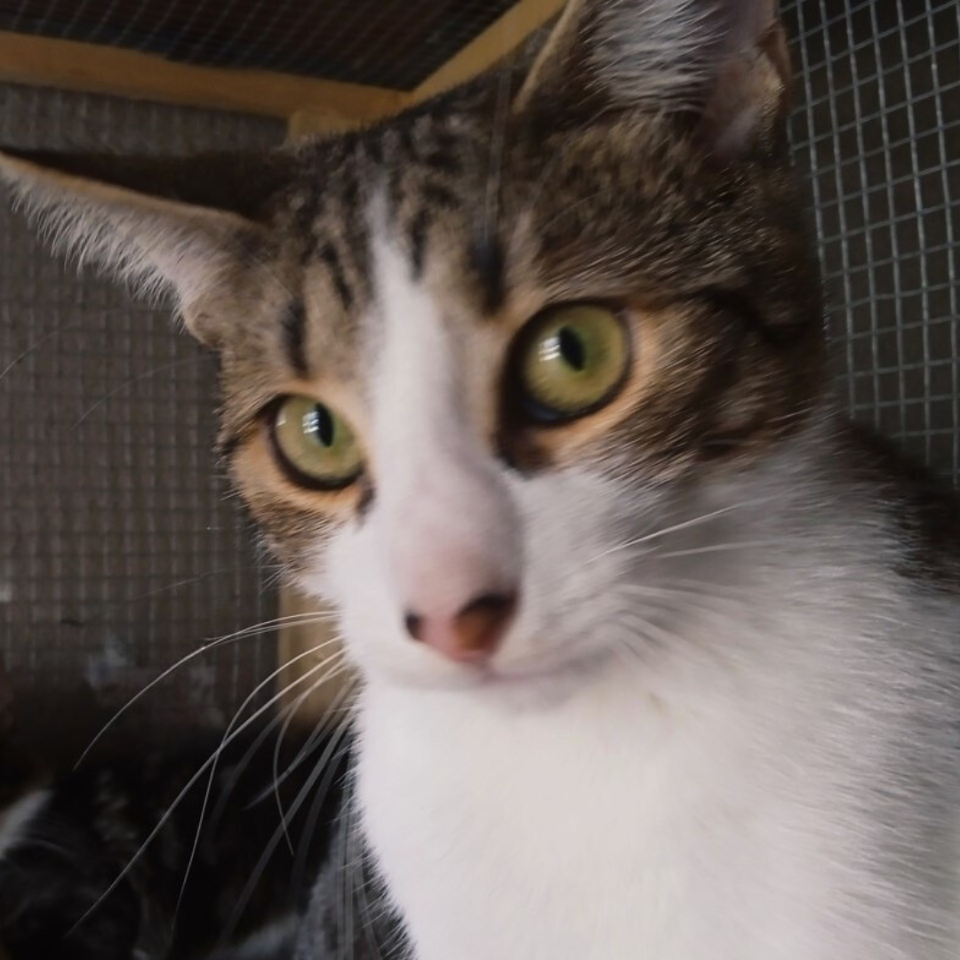 Diseño sin título (2)