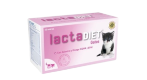 Casas de acogida | caja de leche en polvo para gatitos