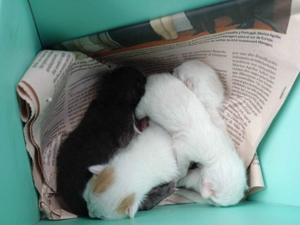 Casos de éxito | Aslan