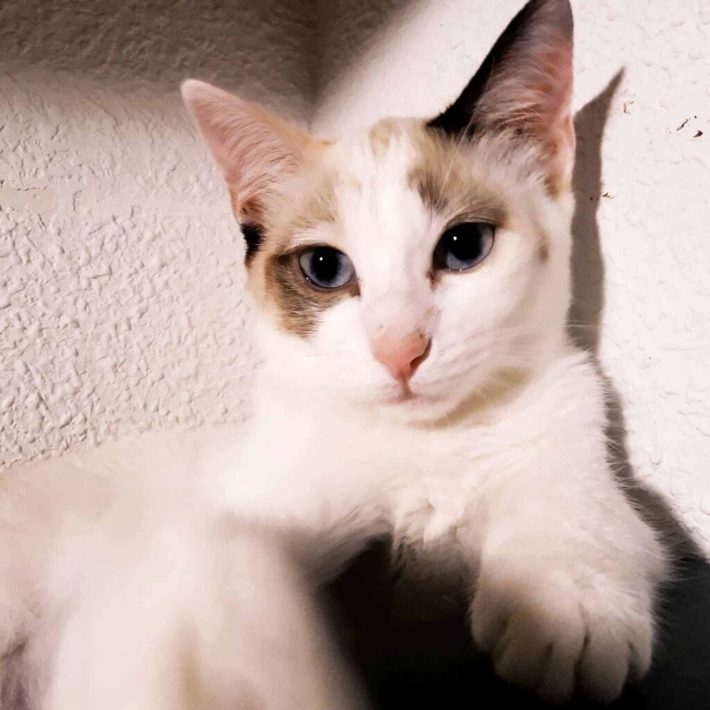 Casos de éxito | Aslan