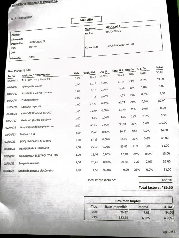 Casos de éxito | Laki