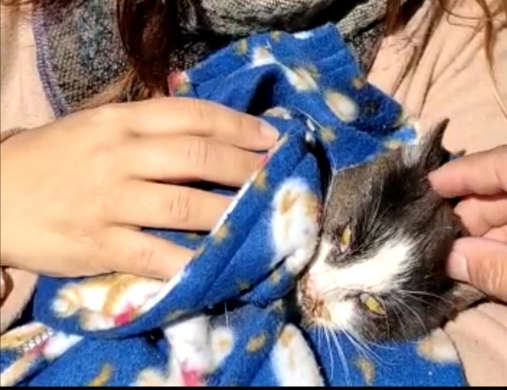 Casos de éxito | Laki