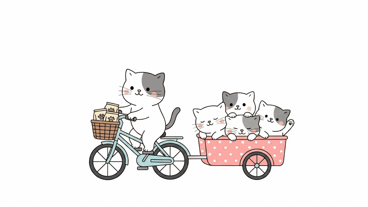 Adoptar gatos | gif animado de gatitos en bicicleta