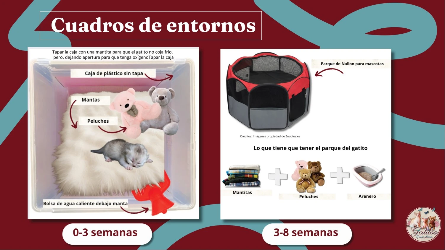 Imagen del Cuadro de entorno del gatito, cómo debes tenerle | Recursos gratuitos