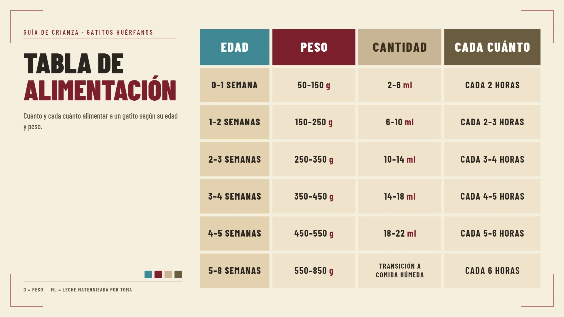 Tabla de alimentación de gatitos bebé | Recursos gratuitos